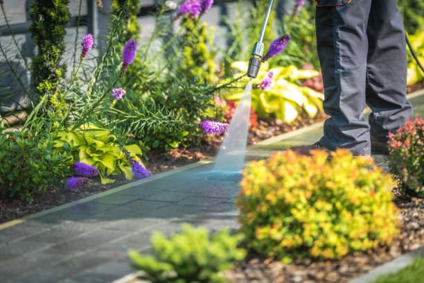 Best Dumpster Area Cleaning  in Plains, TX